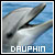 Dauphin