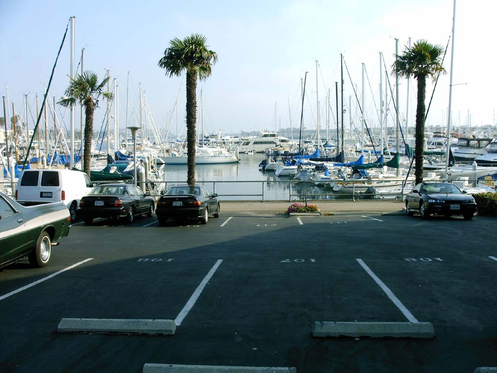 Marina Del Rey 2