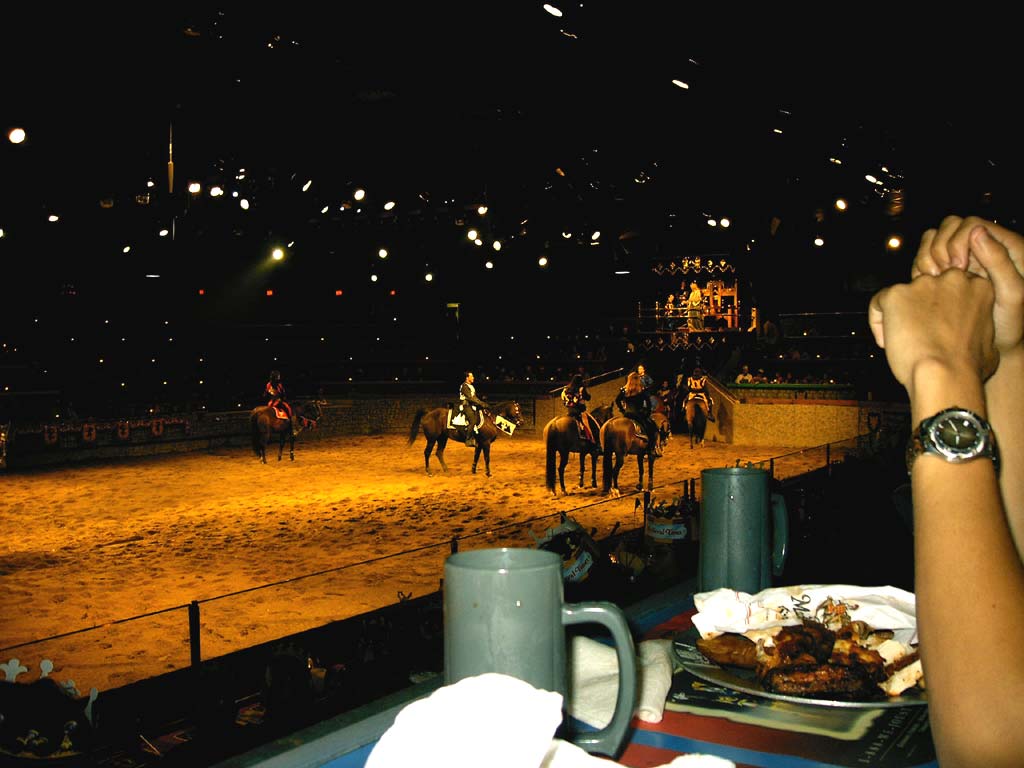 Medieval Times